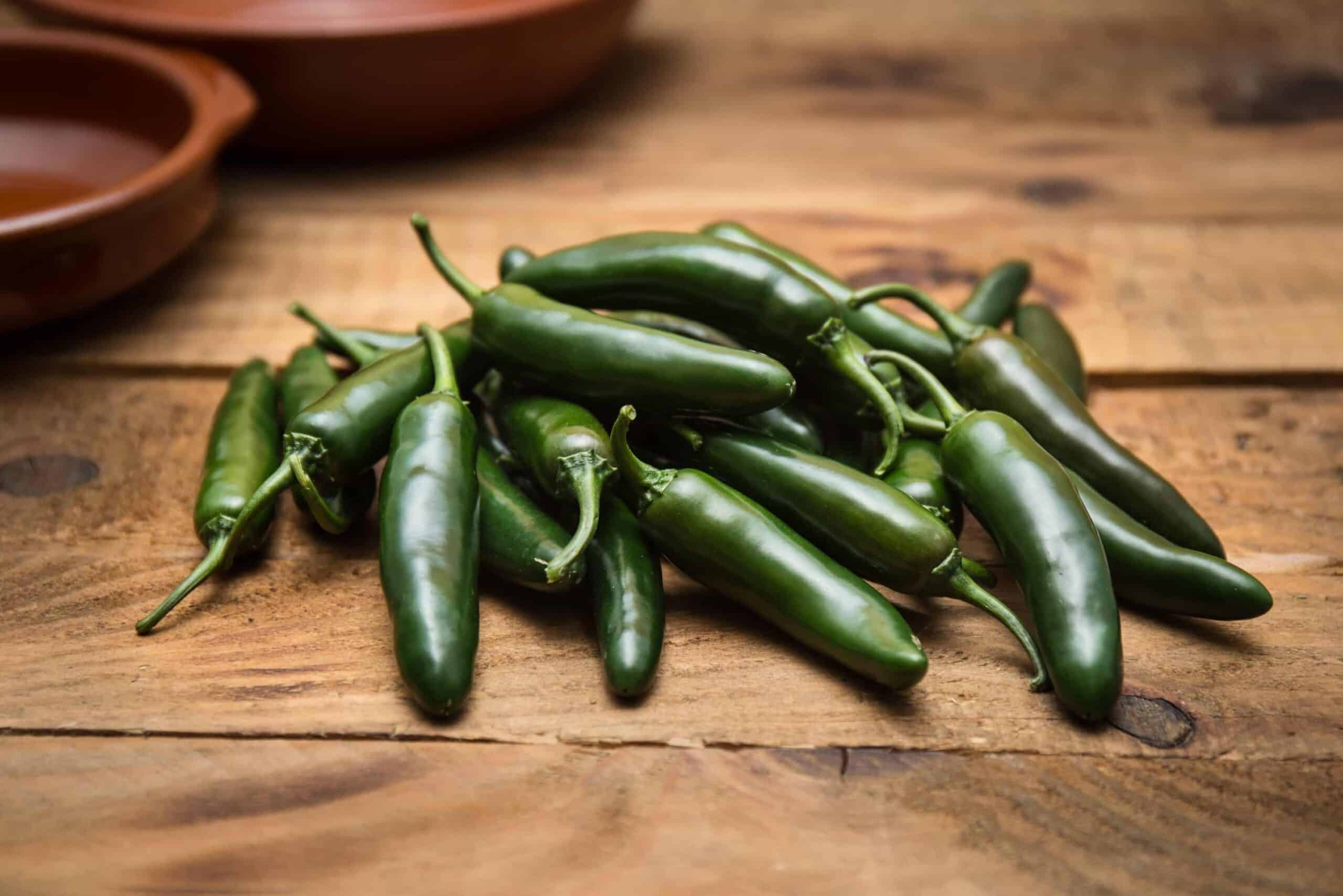 Serrano