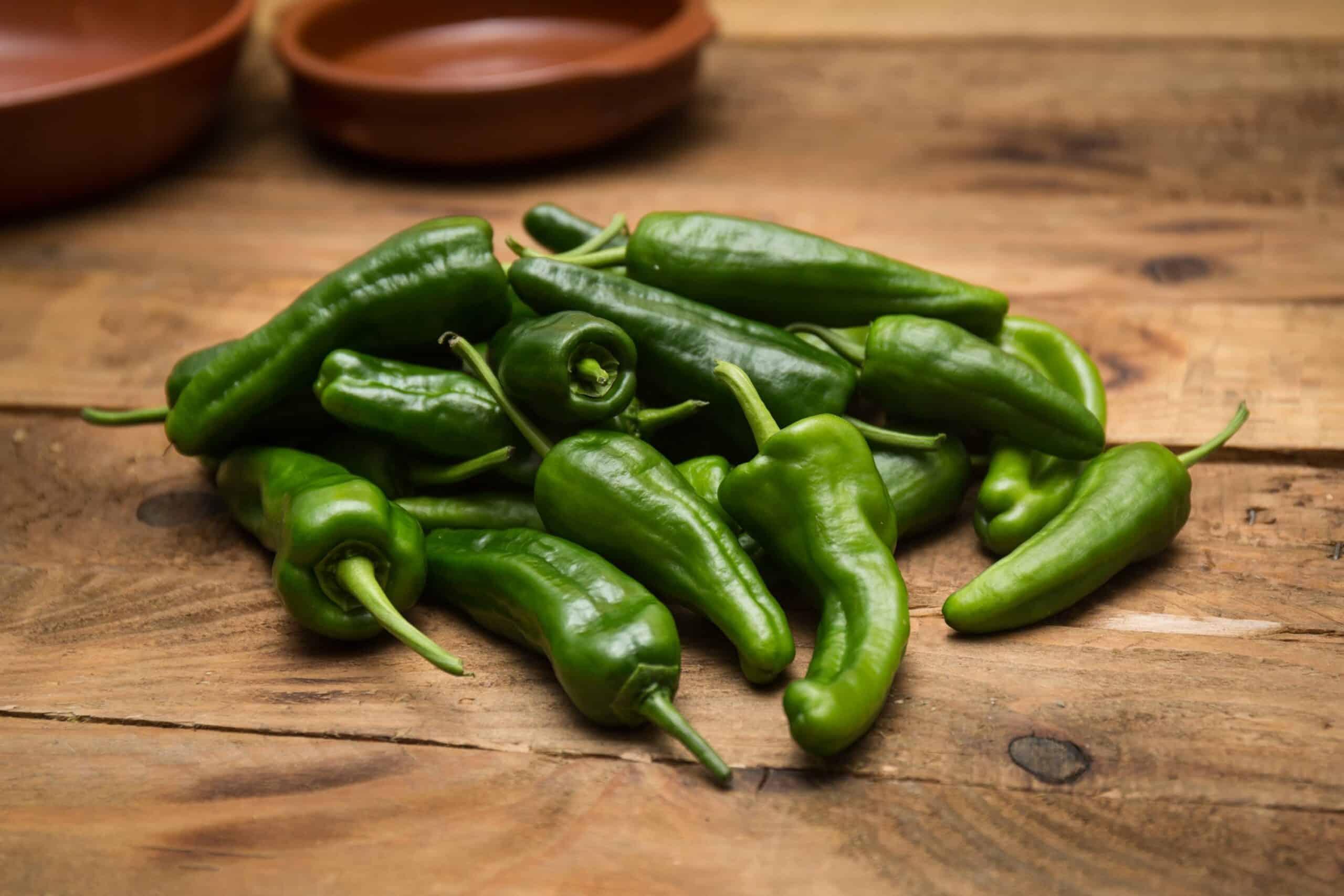 Pimientos de Padron