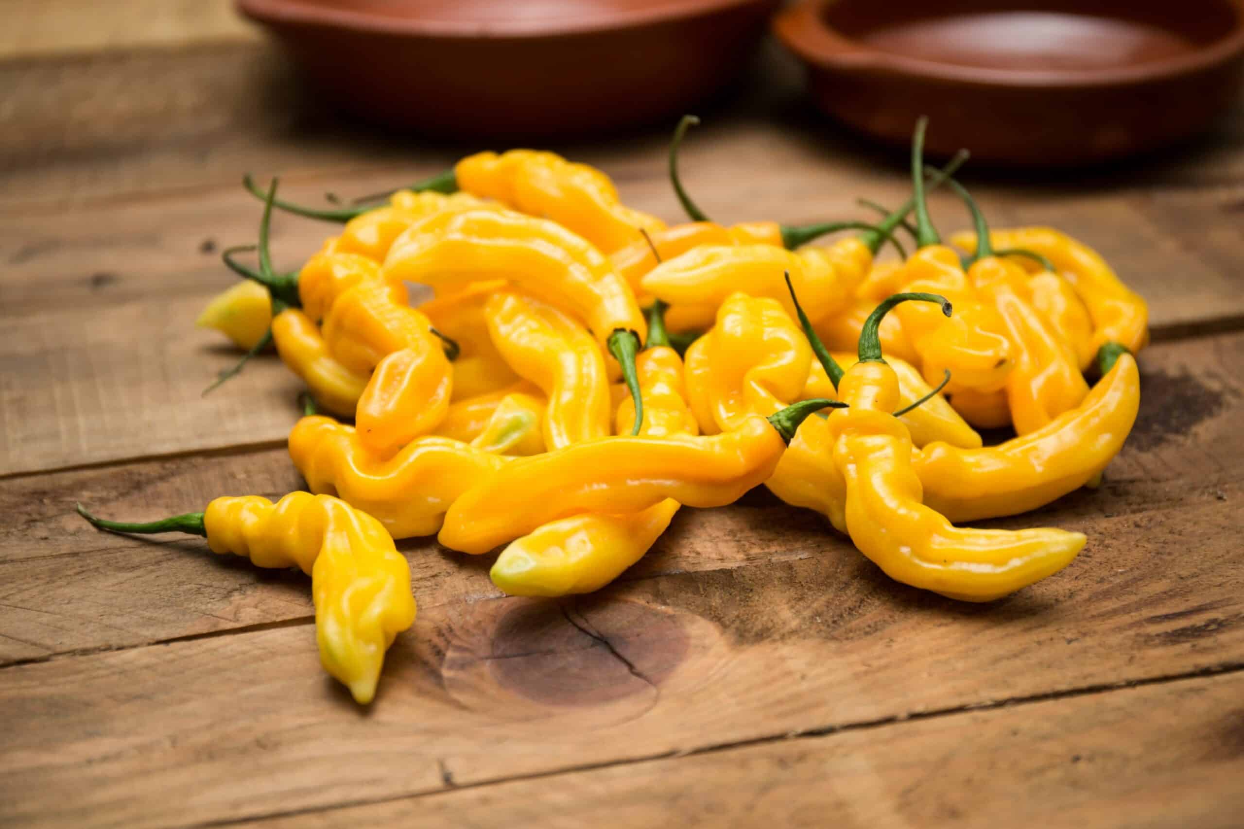 Madame Jeanette / Lemon Habanero