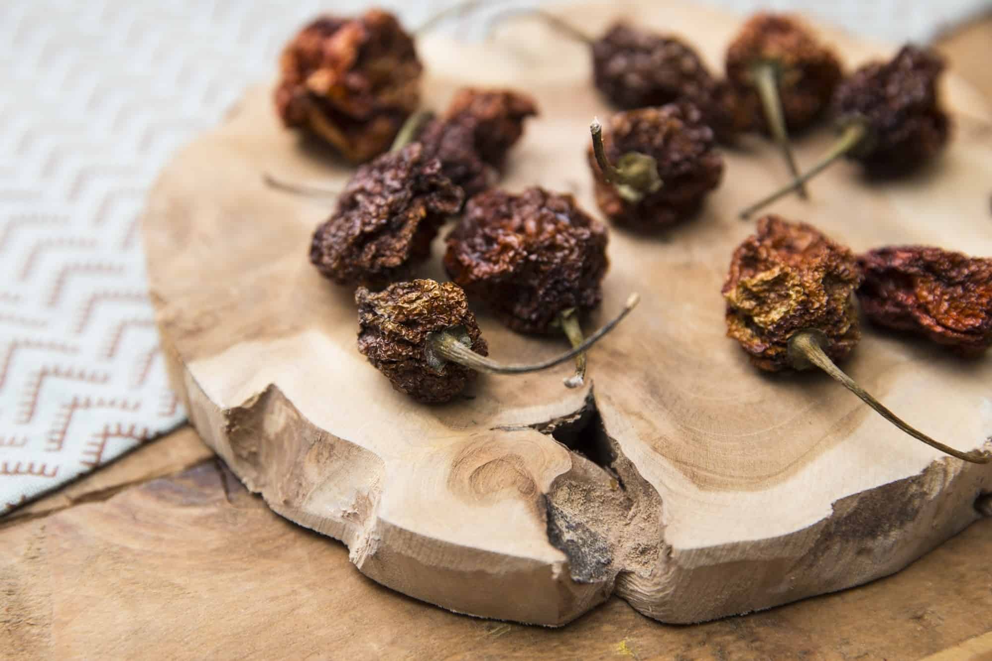 Gedroogde Trinidad Scorpion