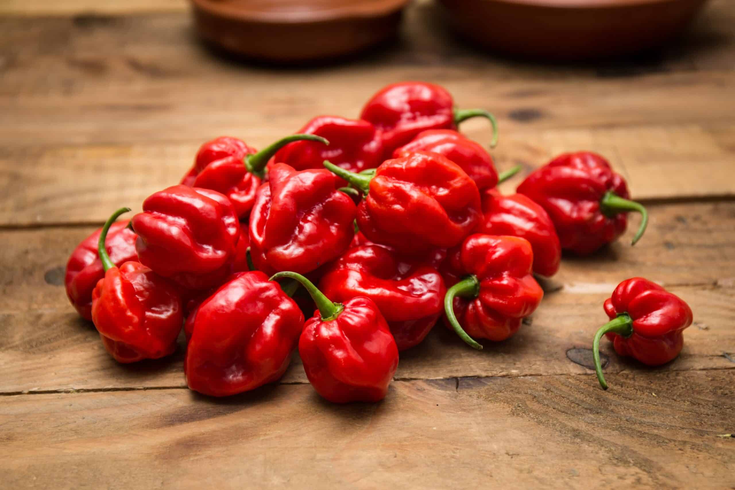 Habanero / Adjuma