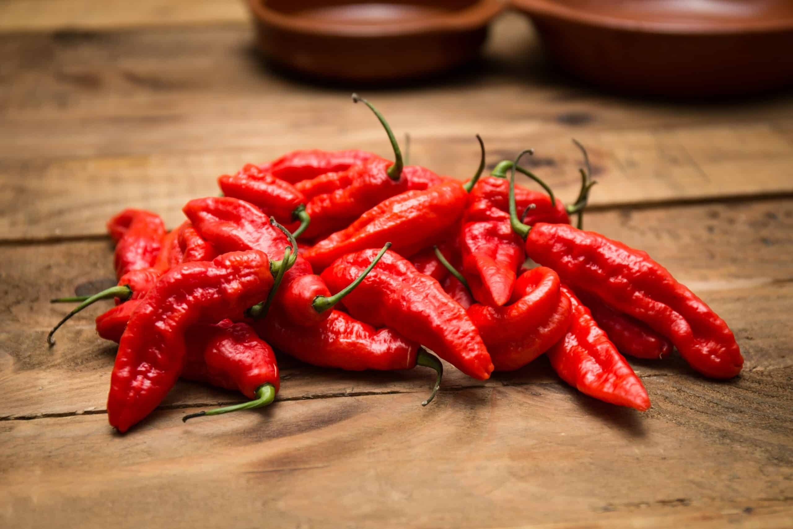 Naga Jolokia / Ghost pepper